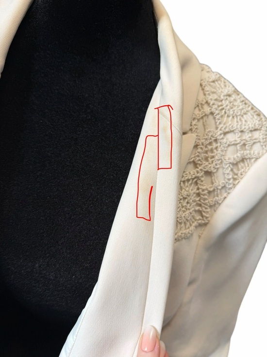 Cinq A Sept Crochet Lace Cheyenne Blazer Ivory Cream Neutral Quiet Luxury Spring - Picture 10 of 15